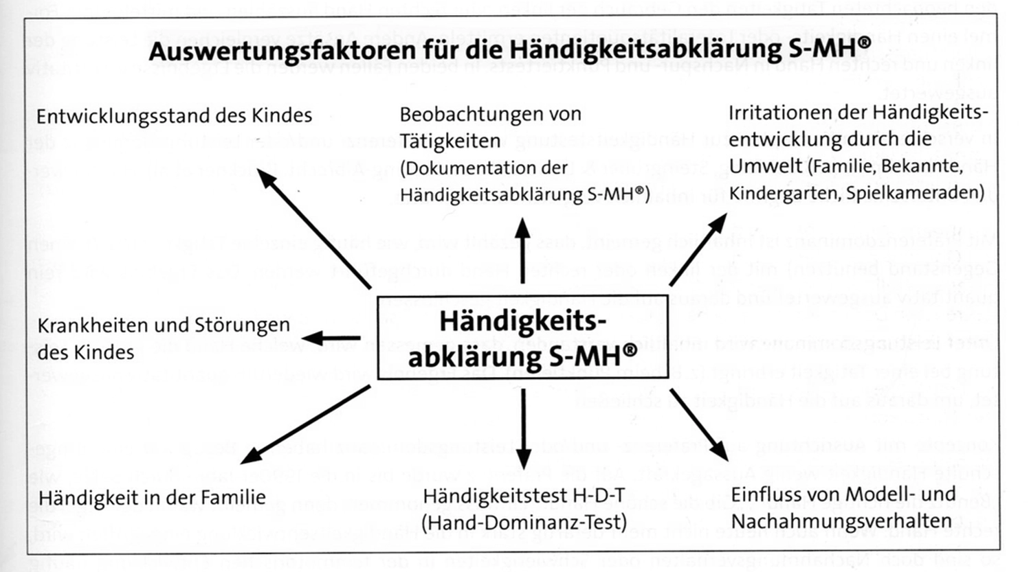 Linkshänder Beraterin Mandy Hartung – Diagramm